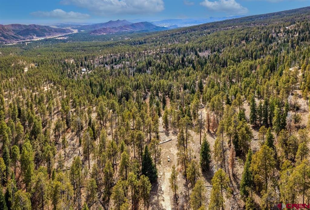 Aerial view of wooded land with a dirt track and distant mountain ranges.