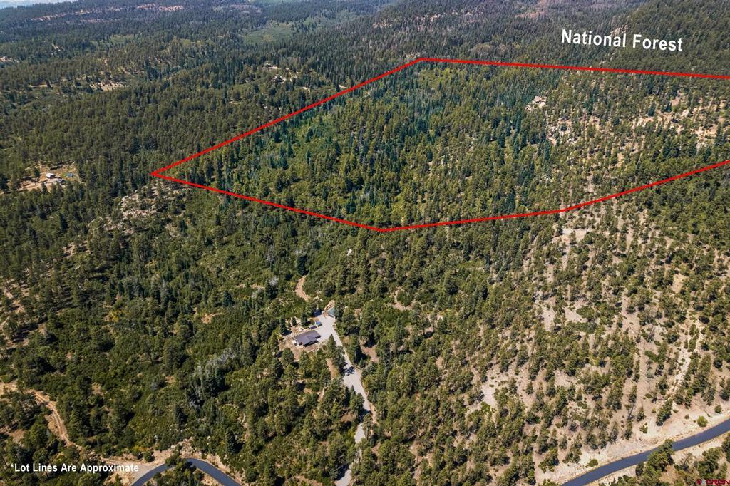Aerial view of a red-outlined forested parcel beside National Forest land.
