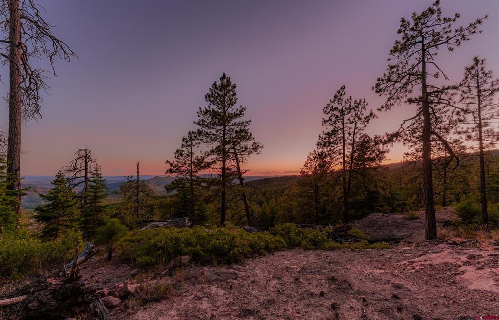 Wooded hillside lot with pine trees and distant mountain ridges at sunset.