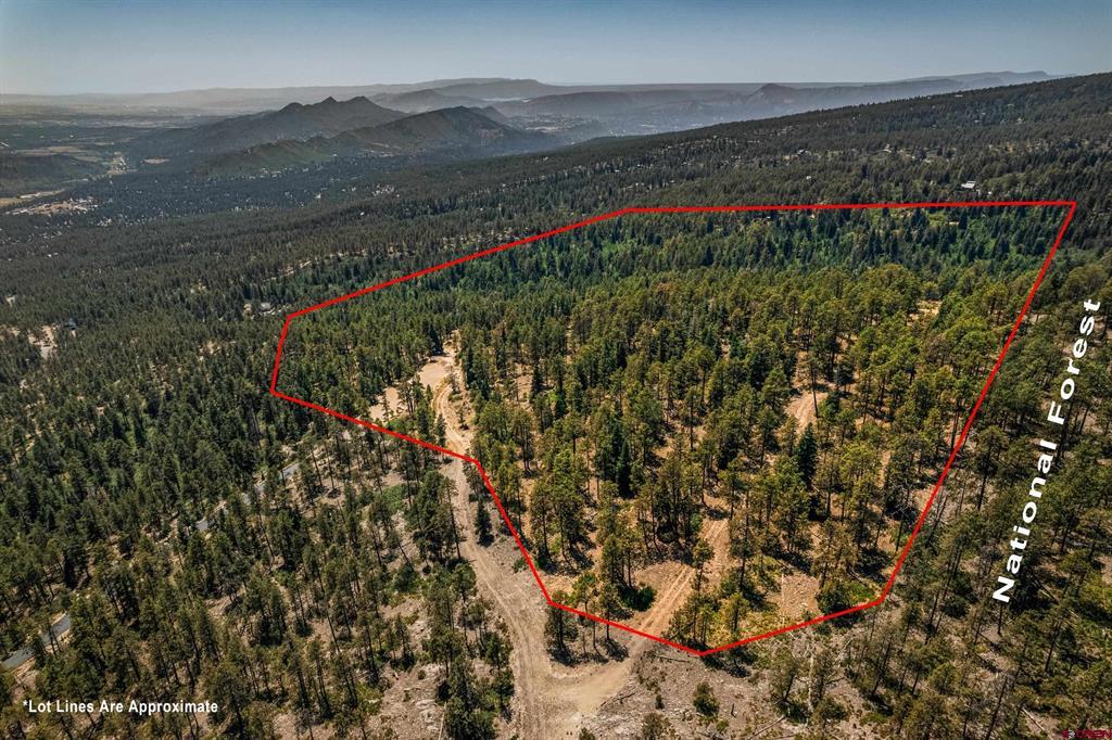 Aerial view of a wooded parcel outlined in red, with dirt roads and distant mountain ridges.