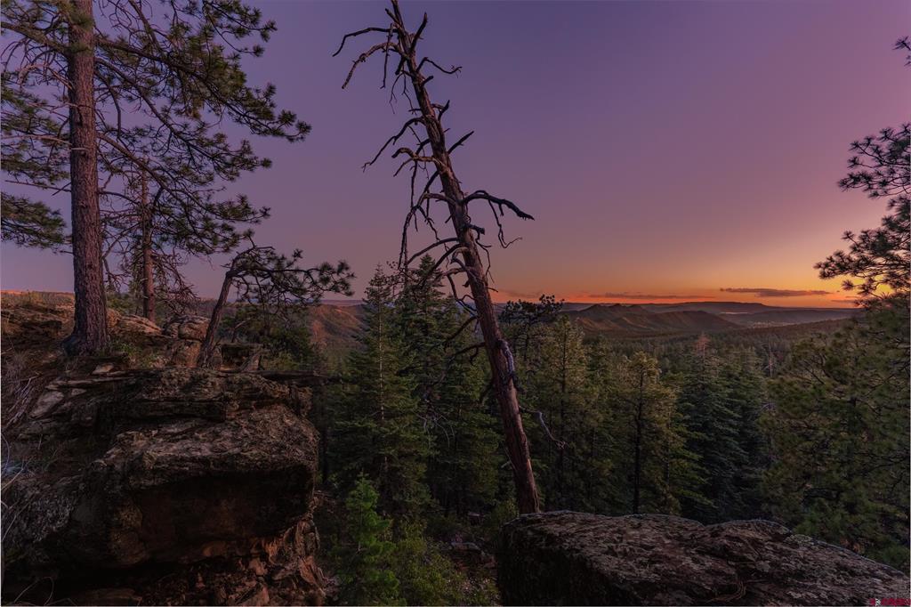 Sunset over forested ridges, framed by pine trees and rocky outcrops.