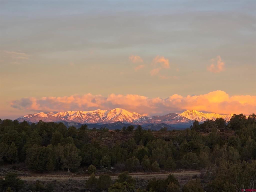 4915 County Road 510