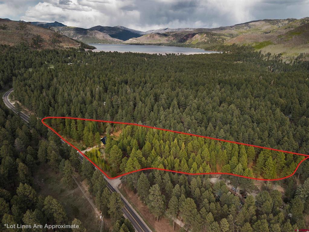 12316 County Road 501