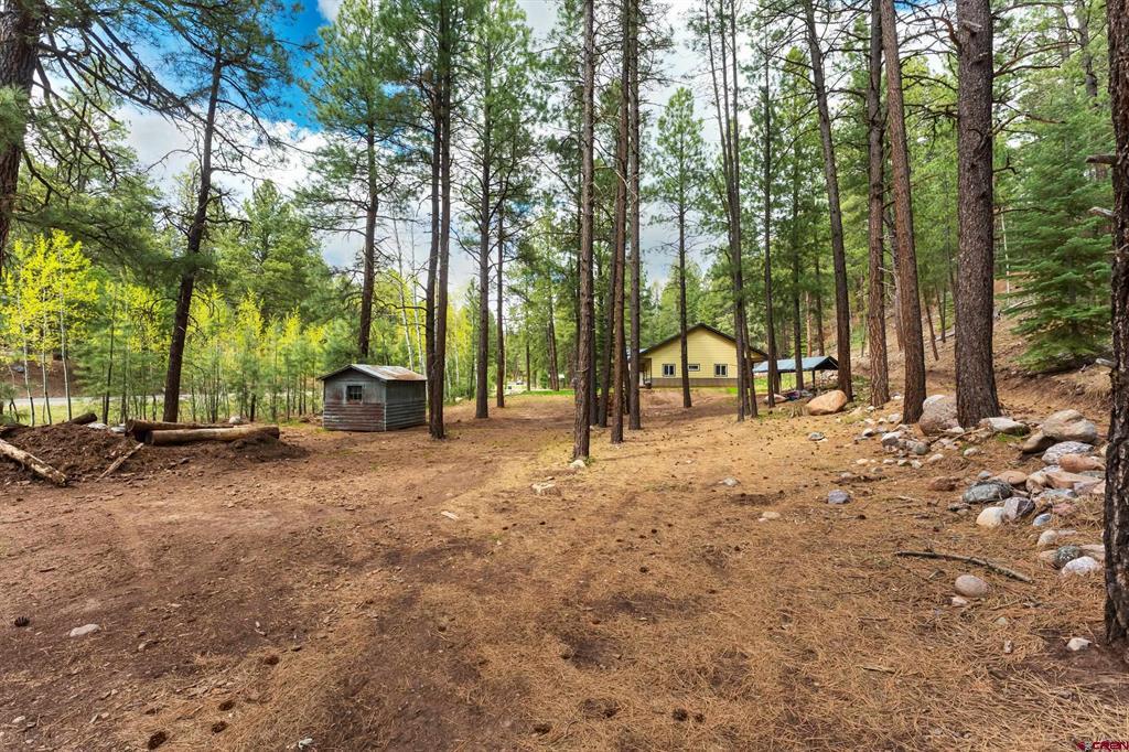12316 County Road 501