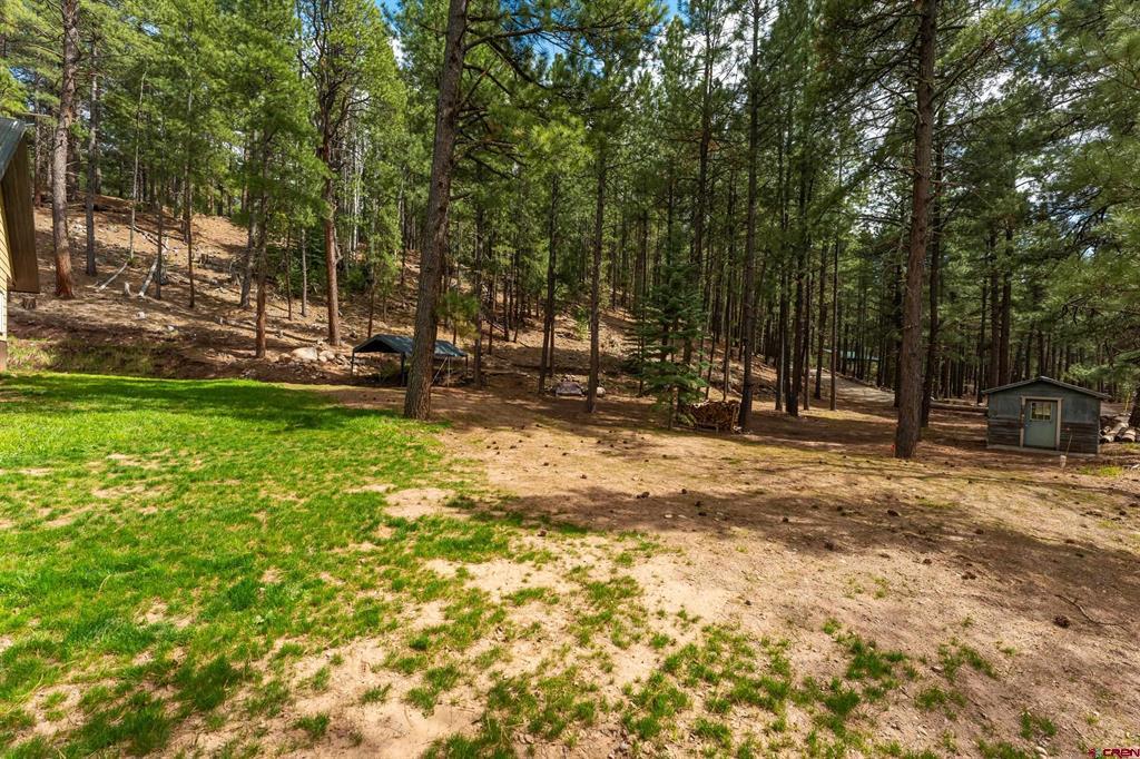 12316 County Road 501