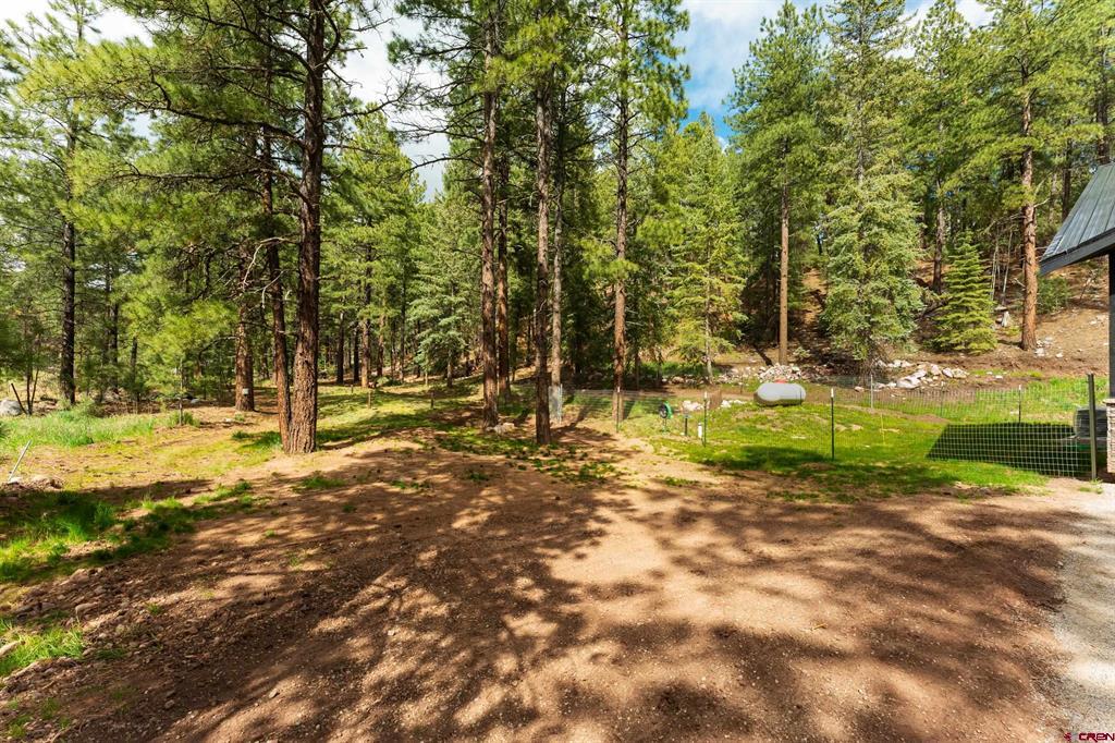 12316 County Road 501