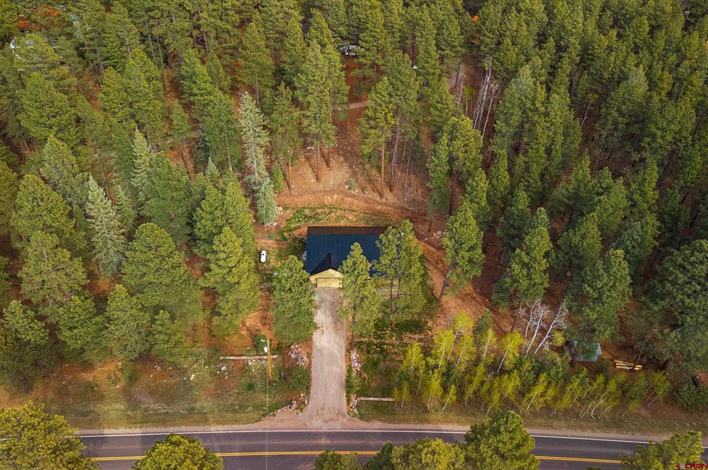 12316 County Road 501