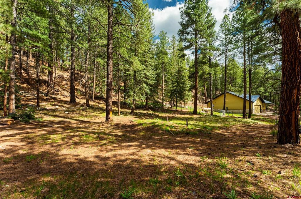 12316 County Road 501