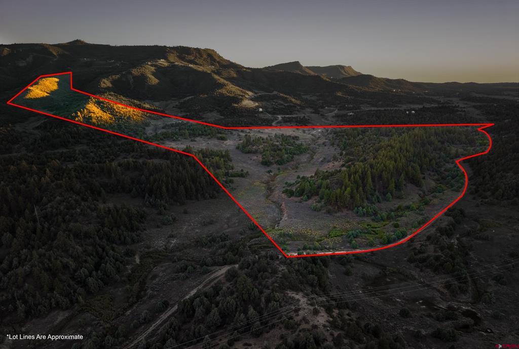Aerial view of a wooded parcel outlined in red, with a central meadow and mountain ridges beyond.