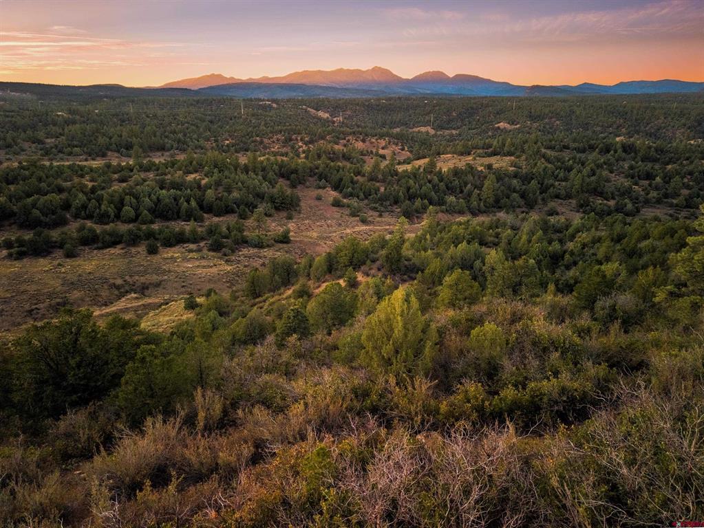 Aerial view of wooded vacant land with distant mountain views at dusk.