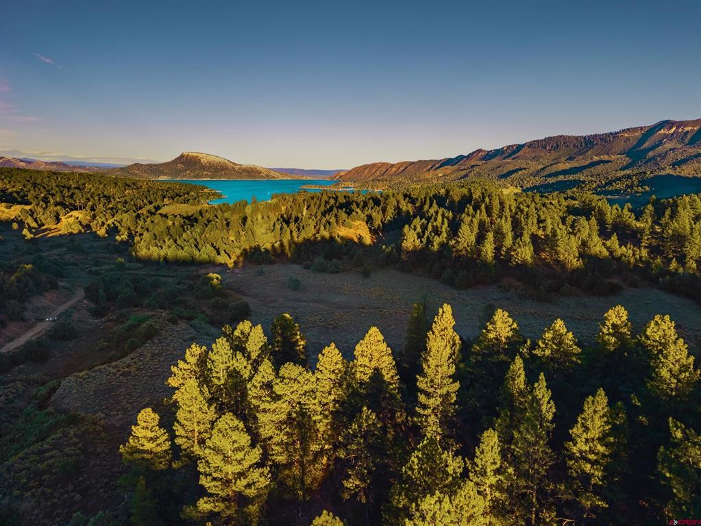Aerial view of forested terrain, a turquoise lake, and mountains in warm sunlight.