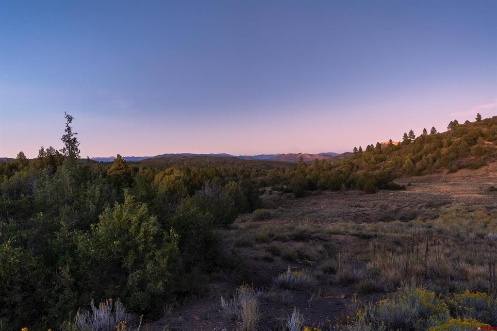 Open land with scrub and trees, looking toward distant mountain ridges at dusk.