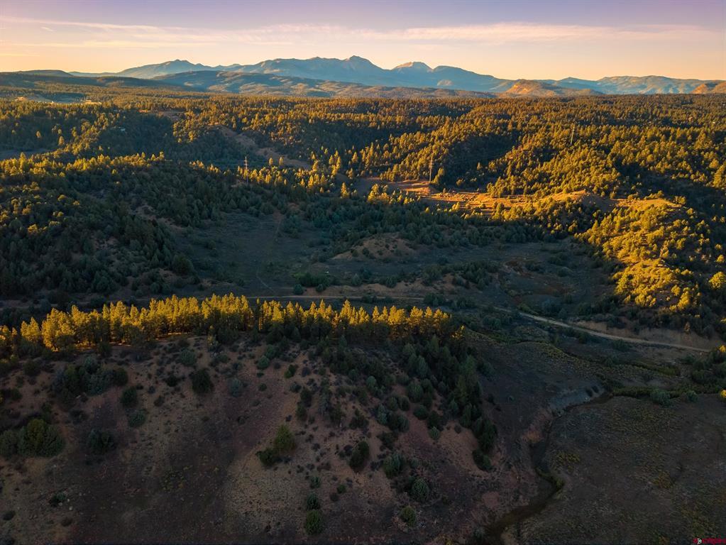 Aerial view of wooded acreage and rugged open land with a mountain range beyond.