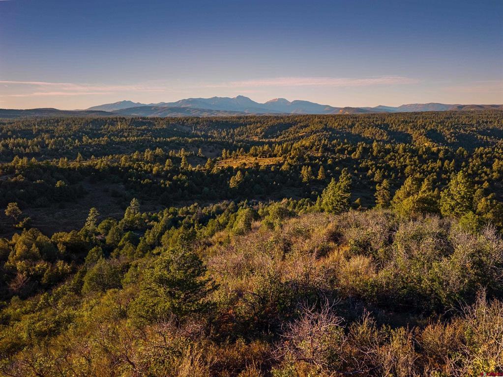 Forested hills and valley stretch toward a distant mountain range in golden-hour light.