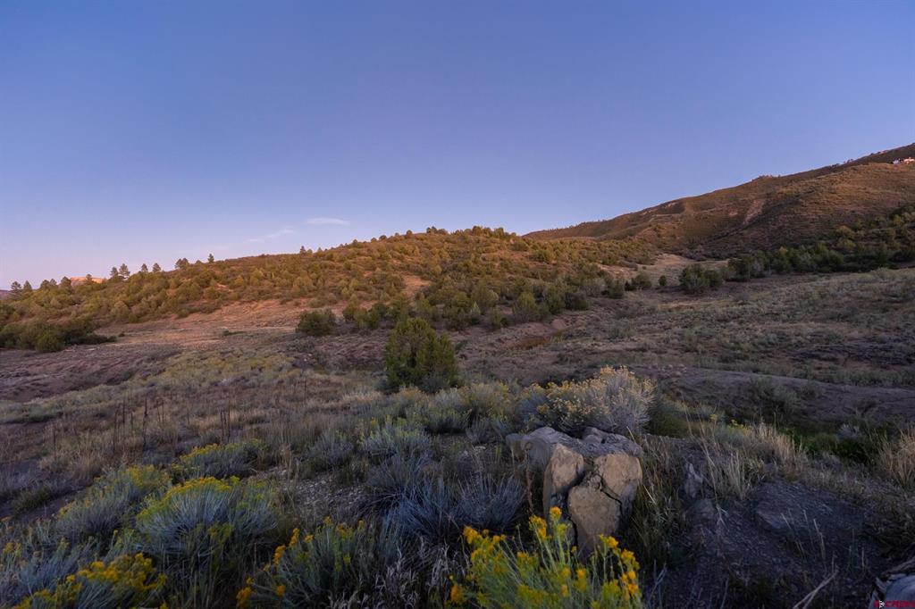 Undeveloped hillside lot with rocky, brush-covered foreground and tree-covered slopes in warm evening light.