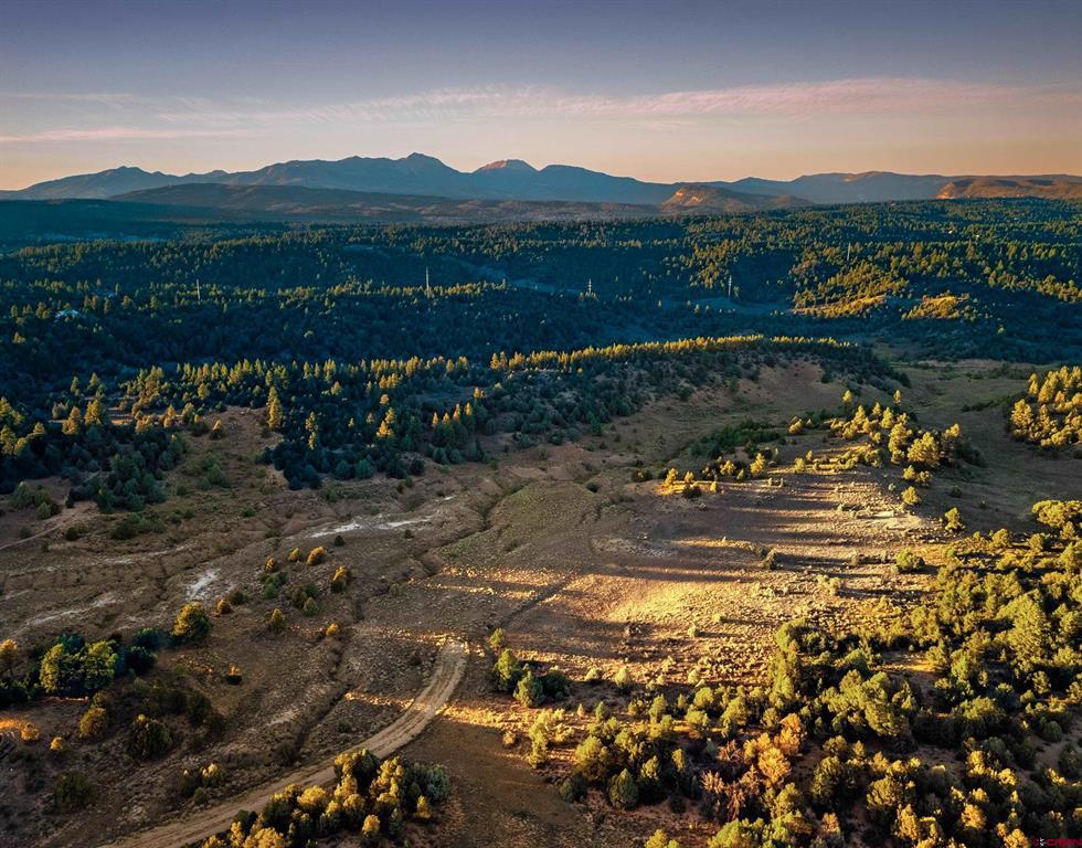 Aerial view of open scrubland with scattered trees, a dirt track, and distant mountain ranges.