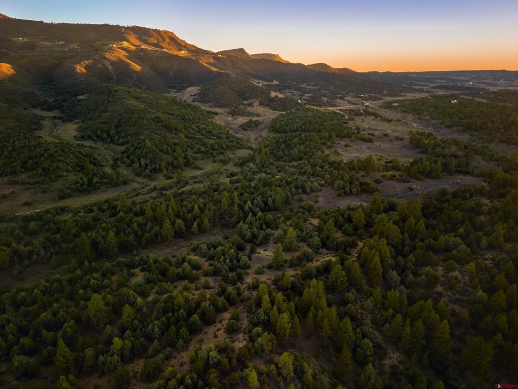 Aerial view of wooded land and mountain ridges glowing in the evening light.