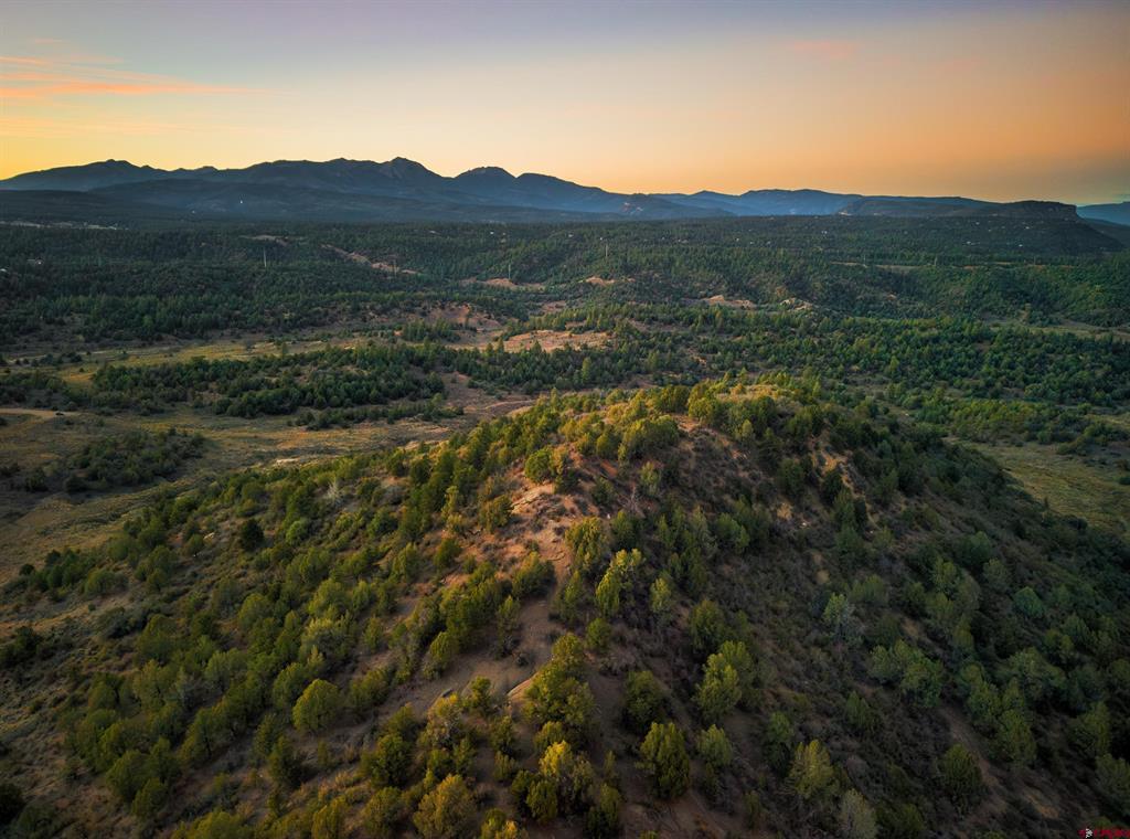 Wooded property and rolling terrain with mountain views at sunset.