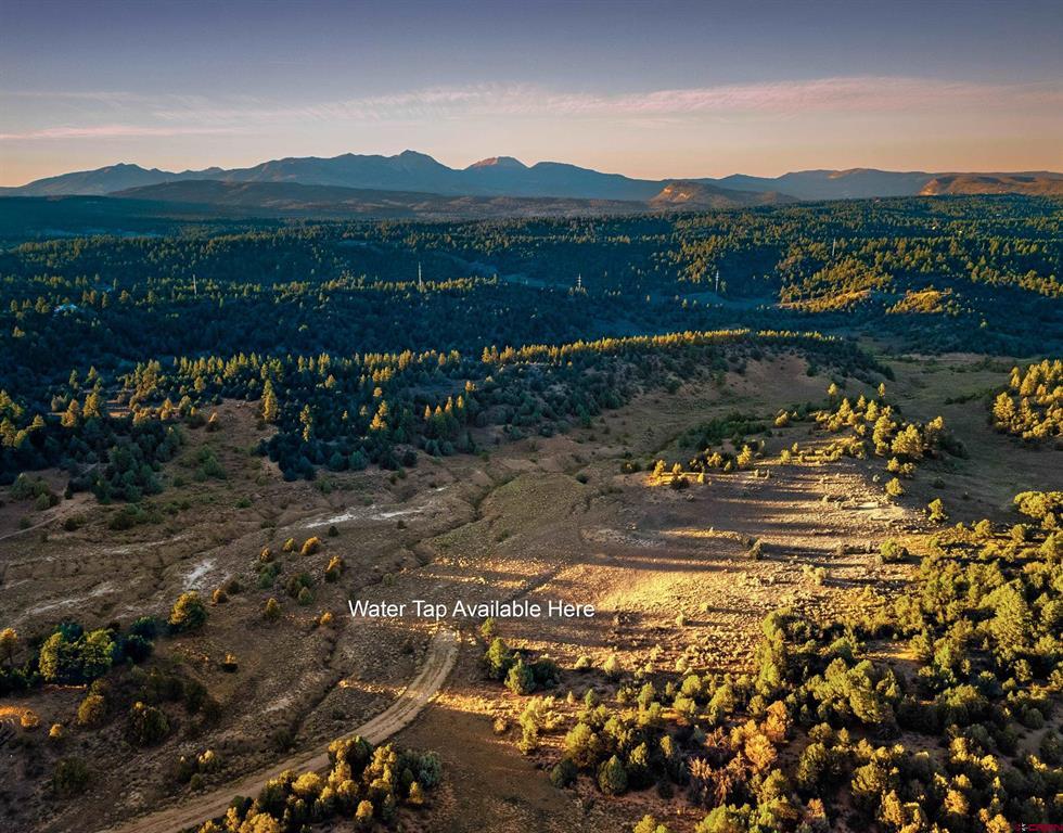 Aerial view of wooded land and a dirt track, with distant mountains and a marked water tap location.
