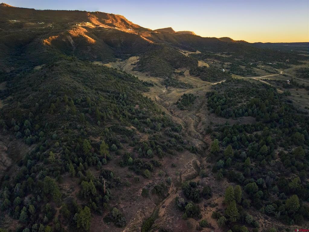 Aerial view of wooded hills and scrubland, with a winding dirt track and sunlit ridgeline.