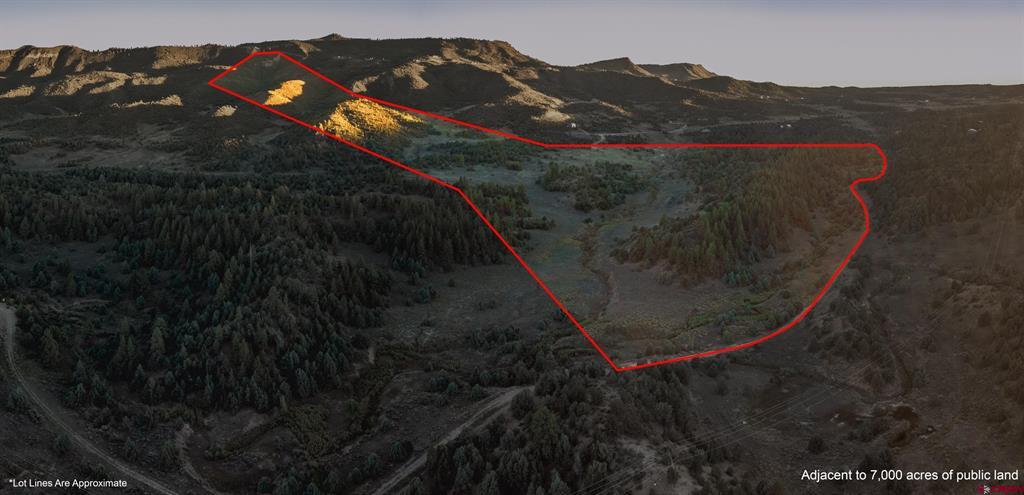 Aerial view of a wooded mountain property outlined in red, with open terrain and distant ridgelines.