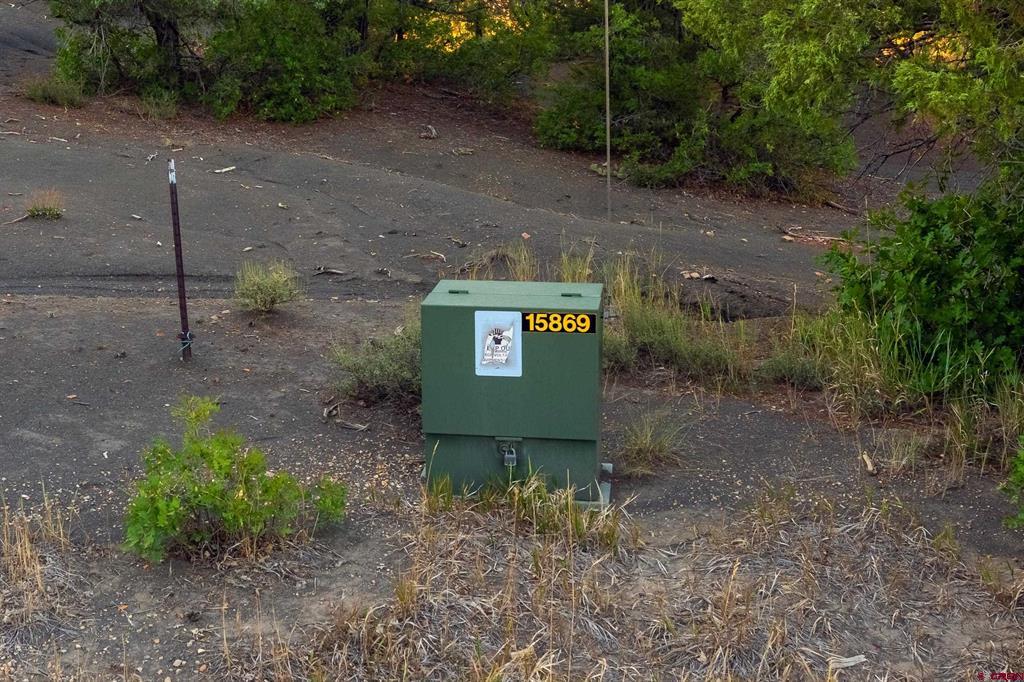 Vacant lot with a green utility box marked 15869 amid dry grass and trees.