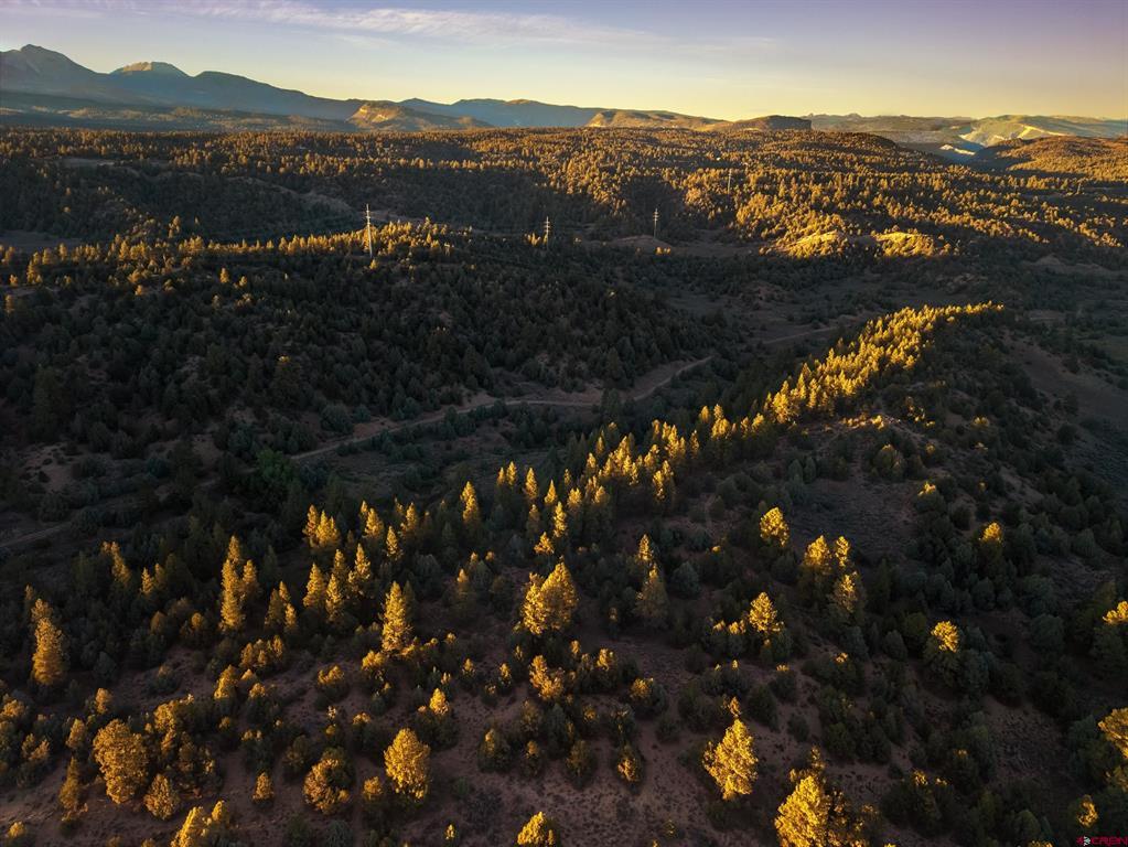 Aerial view of forested hills and open terrain with a mountain range in golden-hour light.