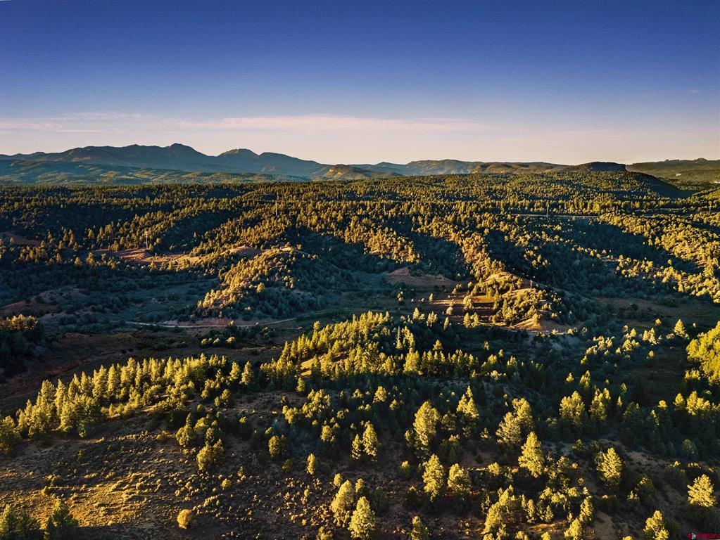 Aerial view of wooded hills and open land with a distant mountain range in warm evening light.