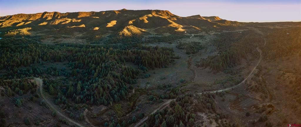 Aerial view of open, forested land with winding roads and a sunlit mountain ridge.