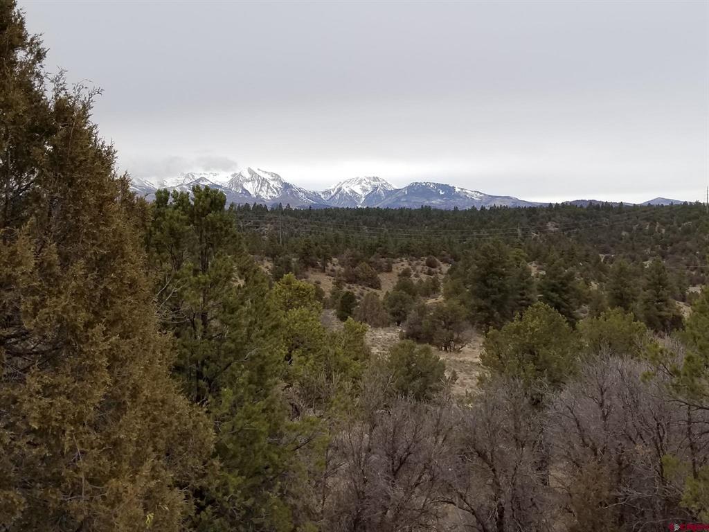 Wooded land with a view of distant snow-capped mountains.