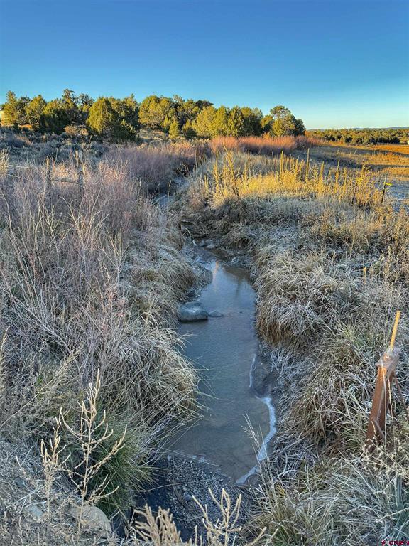 A creek winds through tall grasses toward yellow autumn trees.