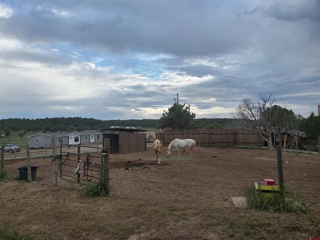 Fenced horse paddock with two horses, a manufactured home, and outbuildings.