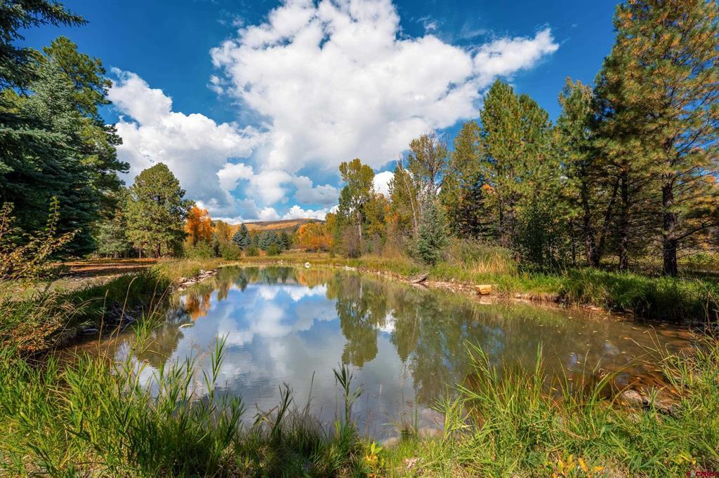256 River Ranch Circle
