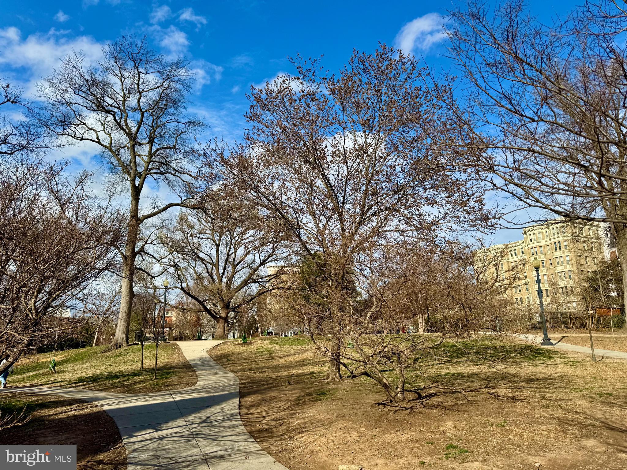 1812 Vernon St NW #24