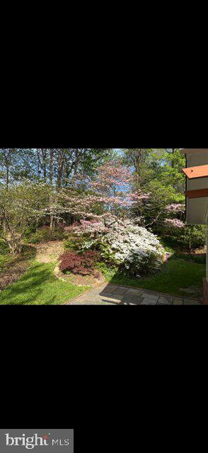 2213 APPLE TREE LANE