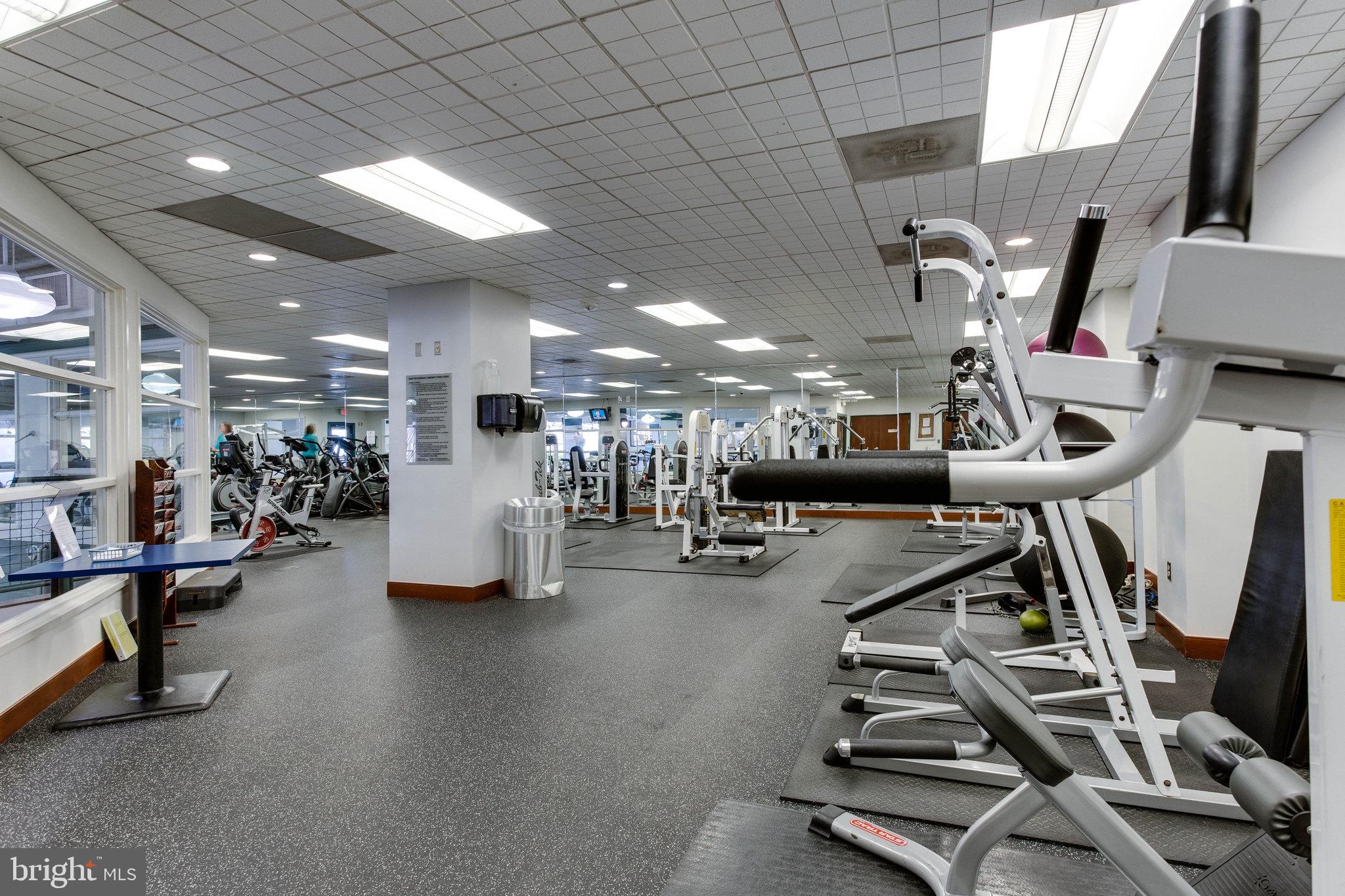 309 Yoakum Pkwy #1218