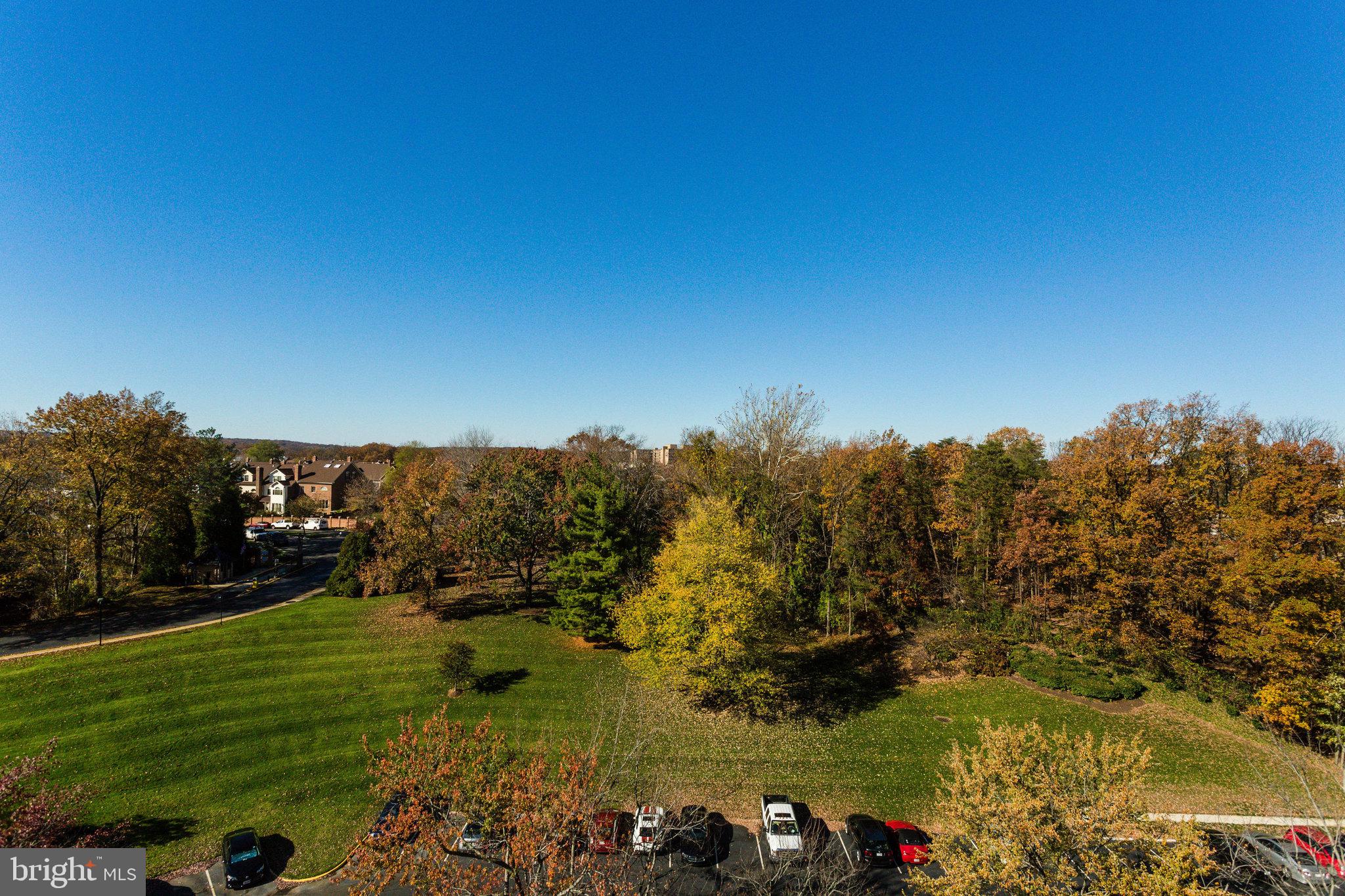 309 Yoakum Pkwy #1218