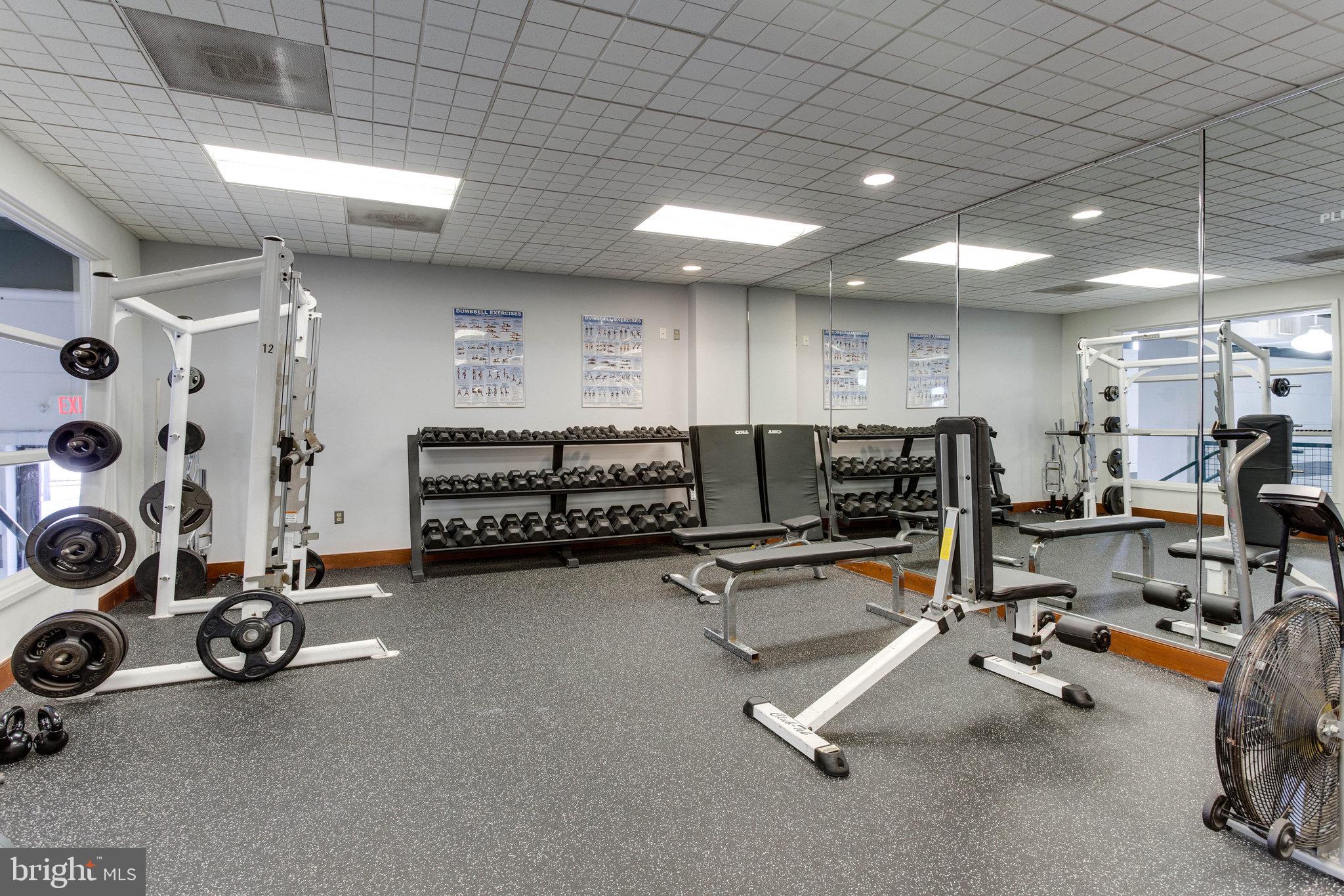 309 Yoakum Pkwy #1218