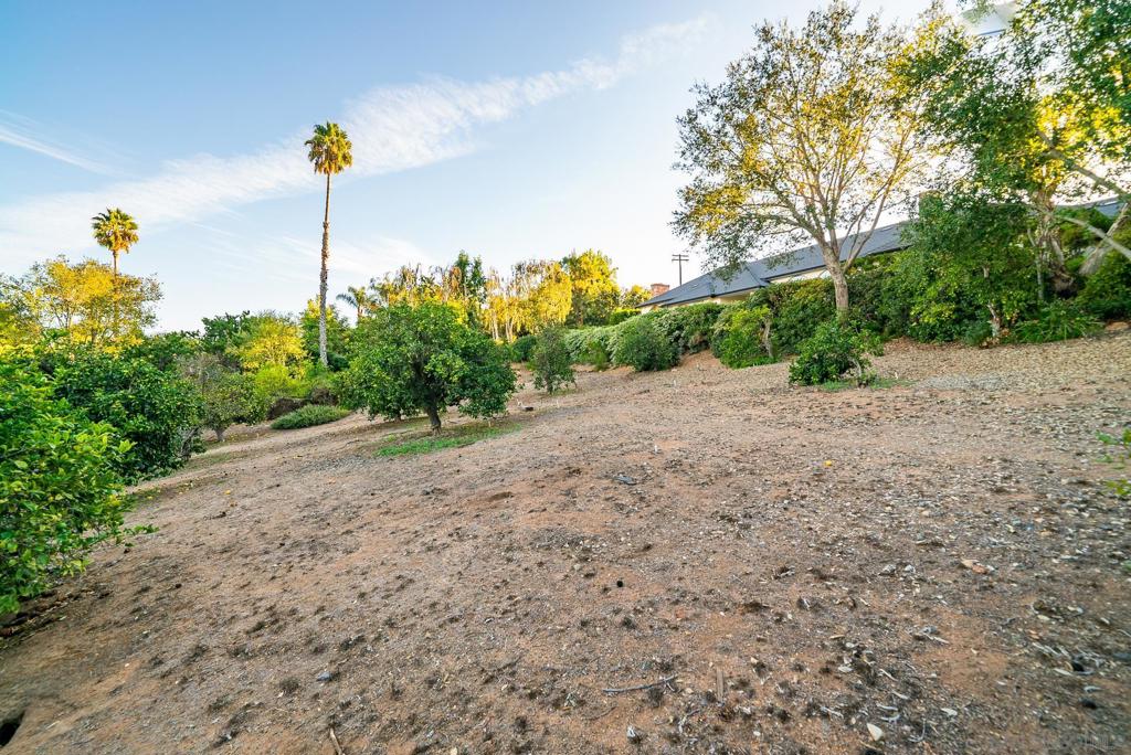 377 Rancho Camino