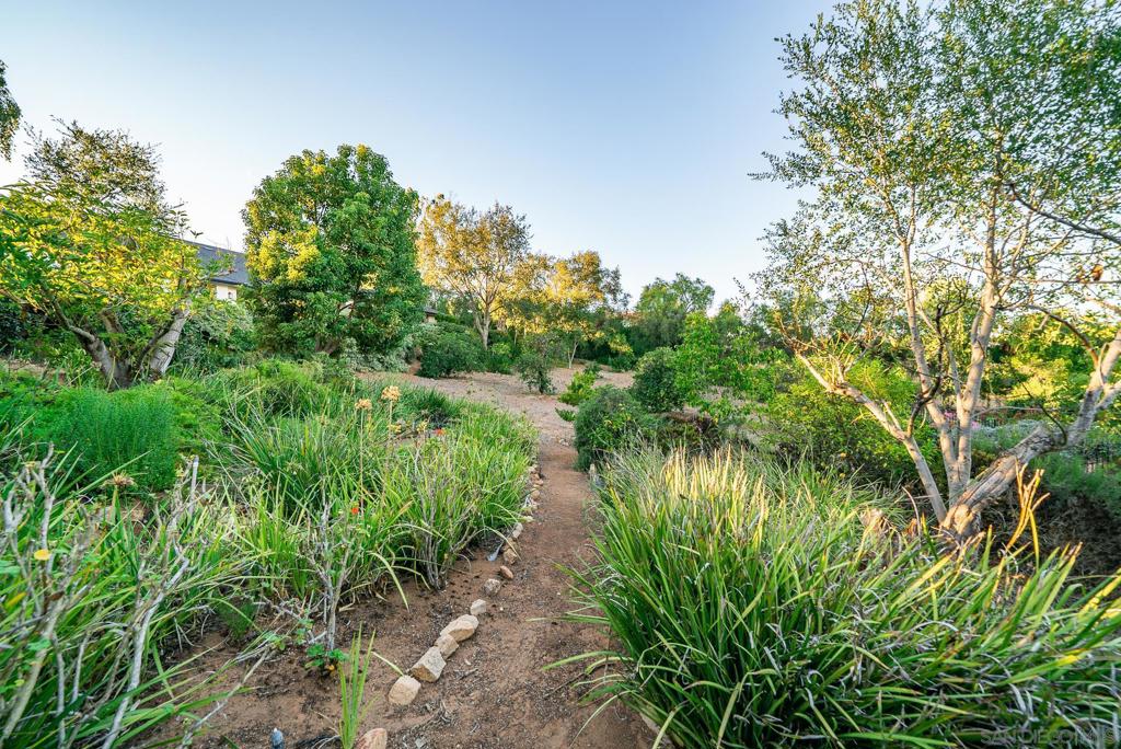 377 Rancho Camino