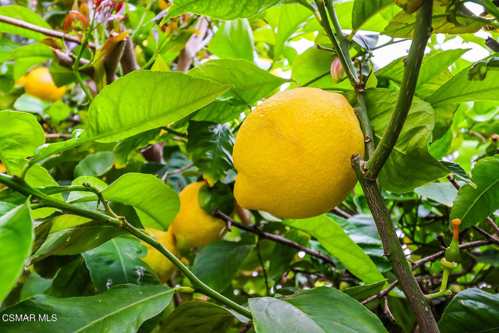 7176 University Drive