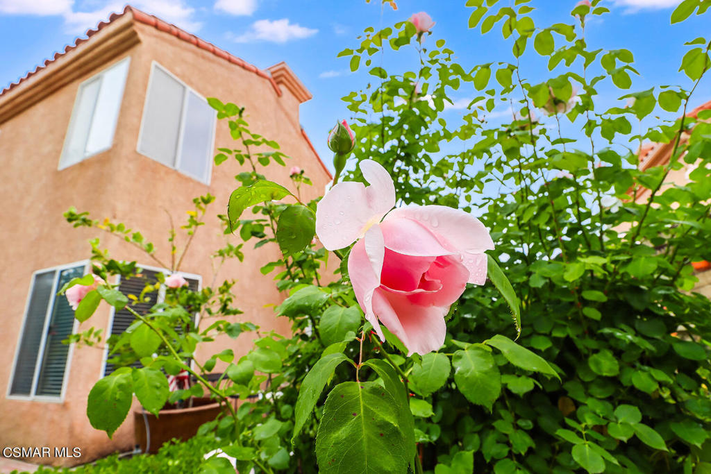 7176 University Drive