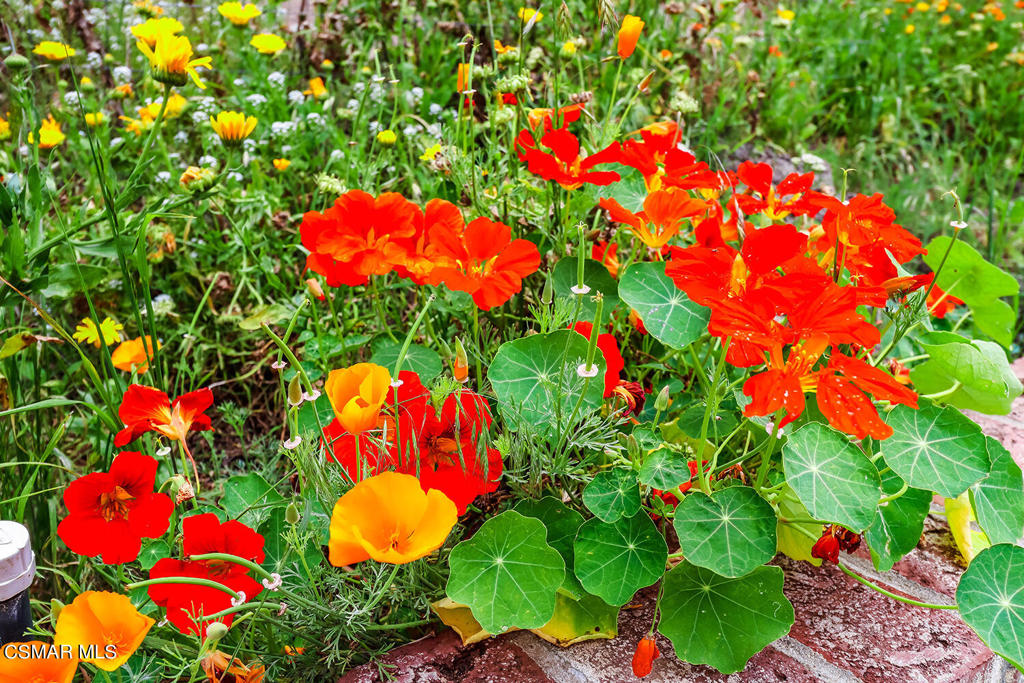 7176 University Drive