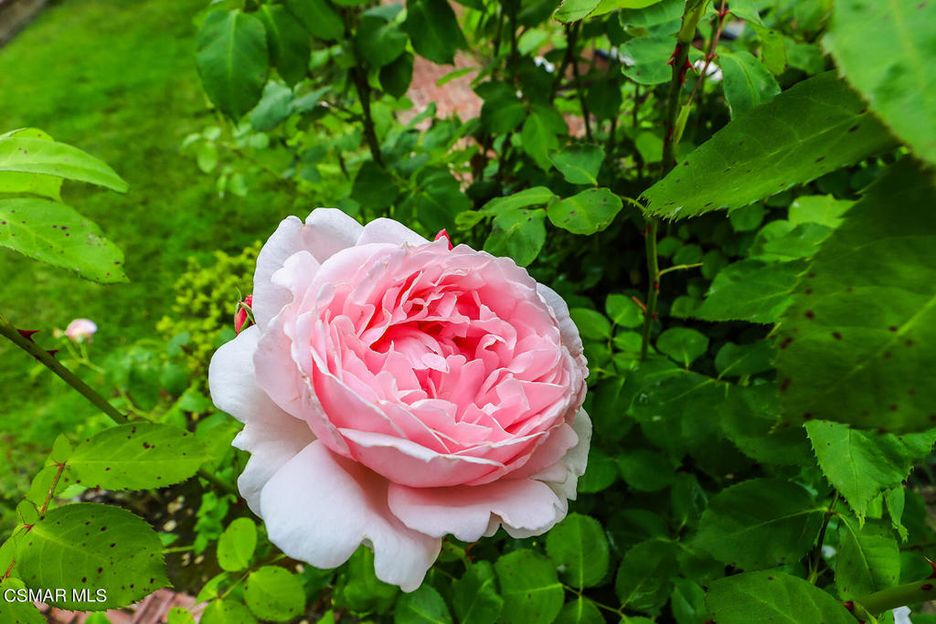 7176 University Drive