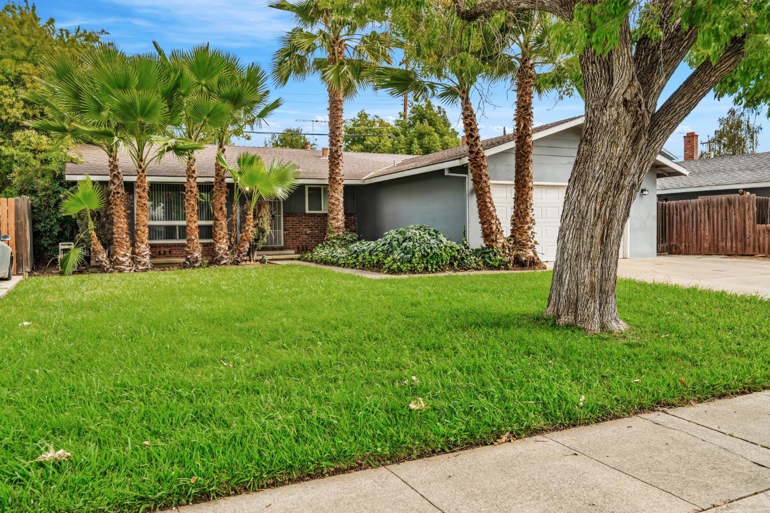 3361 Brunner Drive
