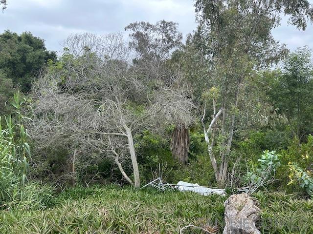 22591 Via Santa Maria