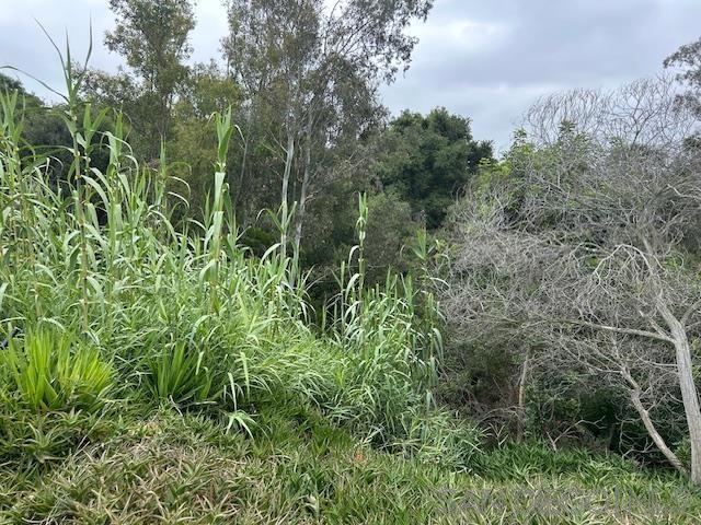 22591 Via Santa Maria