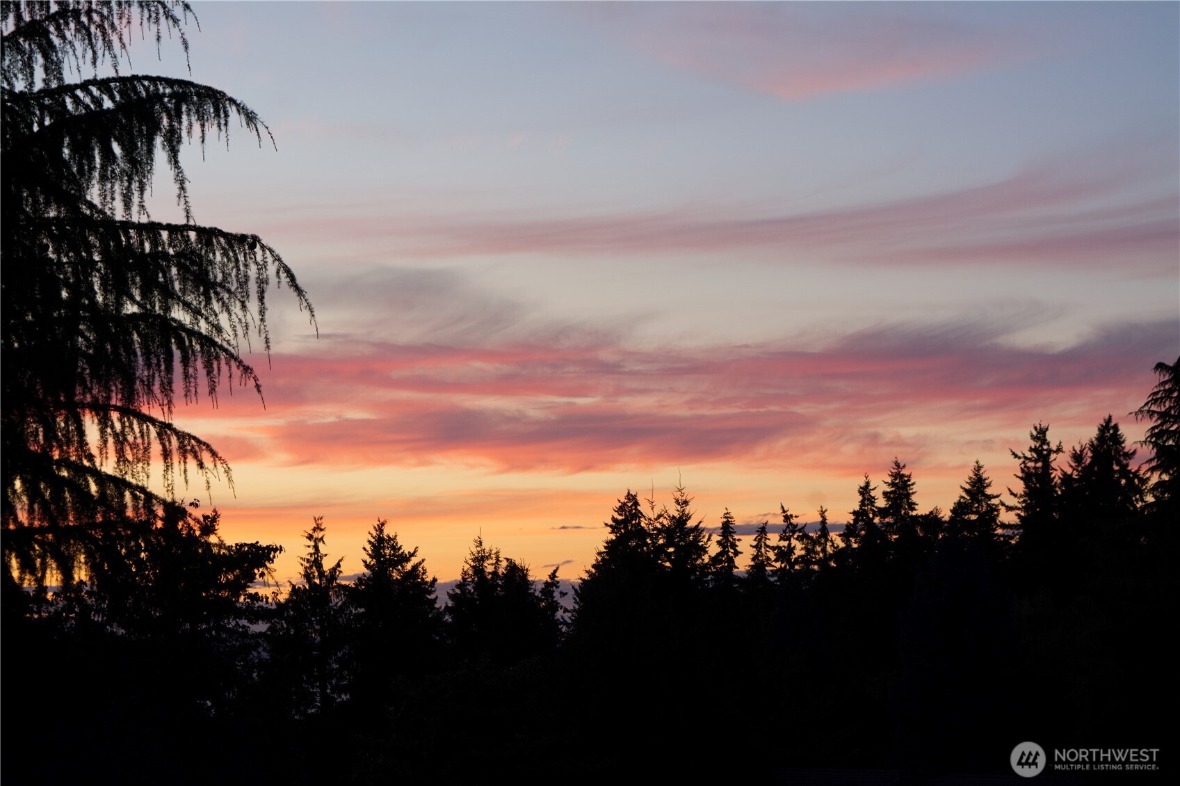 1115 4th Avenue S Unit: 3C