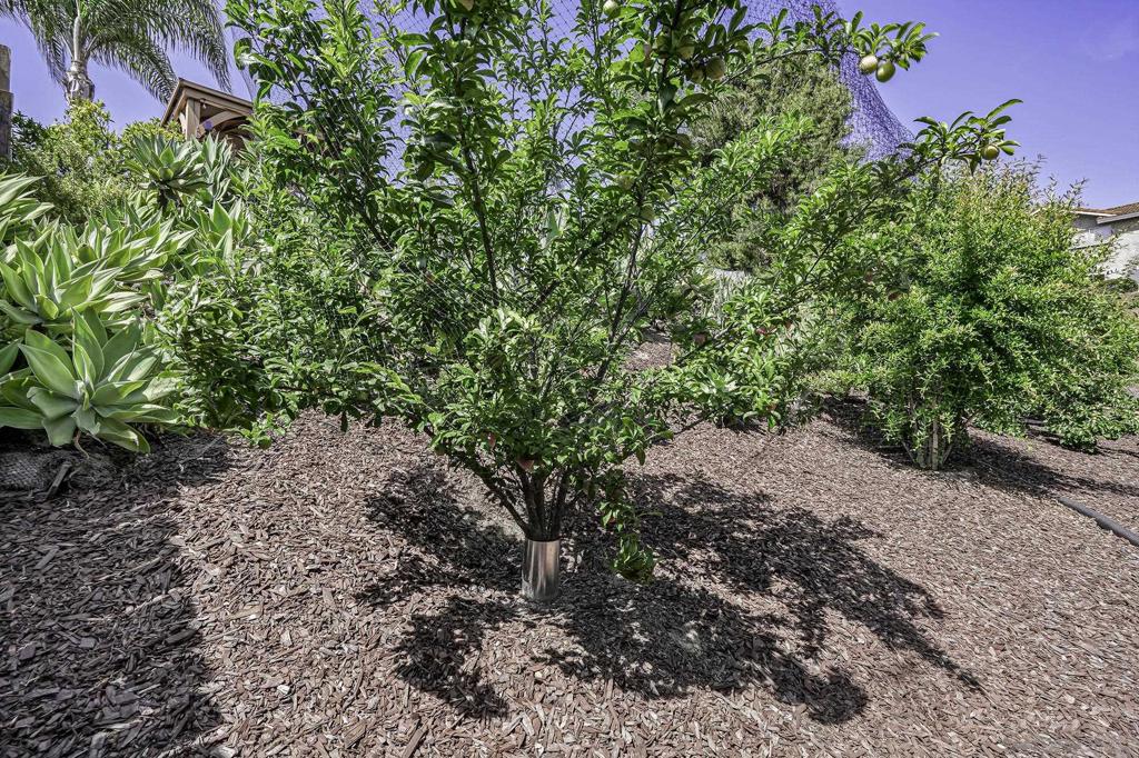 5241 Alamosa Park Dr