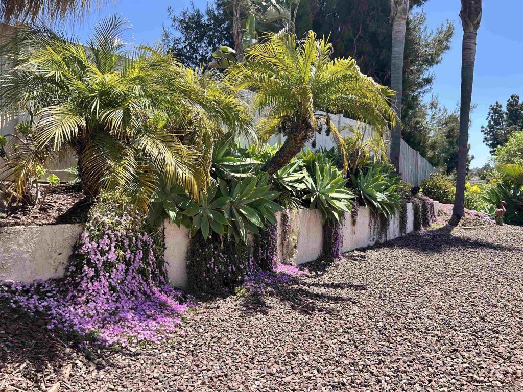 5241 Alamosa Park Dr